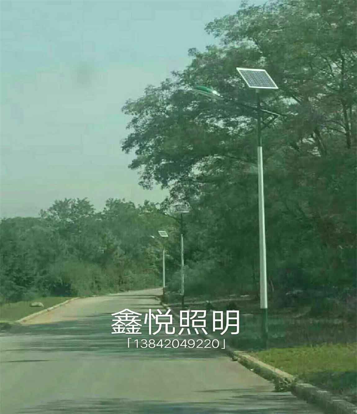 成功案例