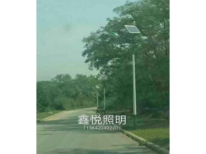 成功案例